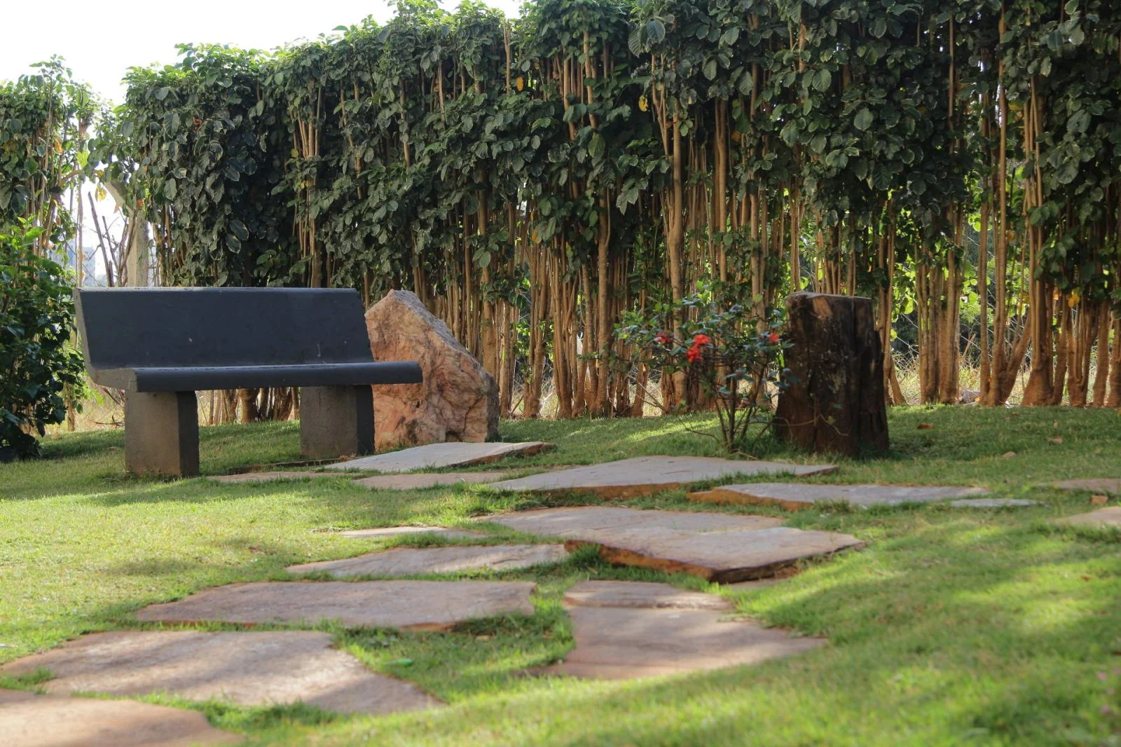 Ecologic Park em Caldas Novas — foto 3
